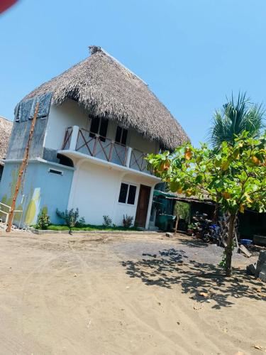 El Paredón Buena VistaCuarto Palma的茅草屋顶和棕榈树的房子