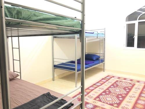 马斯喀特Heritage Hostel Muscat的一间设有两张双层床和地毯的房间