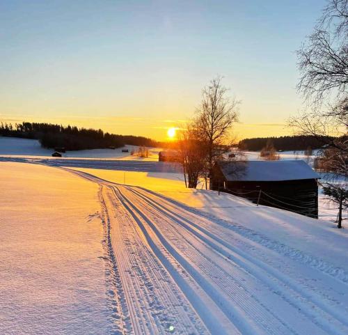 胡迪克斯瓦尔Charming cottage in Forsa, Hudiksvall with lake view的雪地里覆盖着雪地,有雪地的轨道