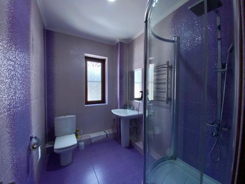 阿拉木图Askarov House的紫色浴室设有卫生间和水槽