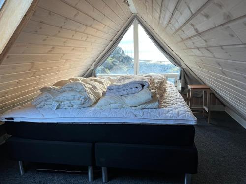 伊卢利萨特Whale View Vacation House, Ilulissat的一张位于带大窗户的帐篷内的床铺