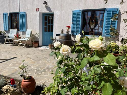 科佩尔Istrian house Mojca的院子中带蓝色门和鲜花的房子