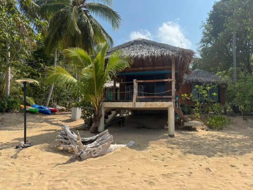 俊穆岛Sunset Beach Bungalow Koh Pu的海滩上一棵棕榈树的房子