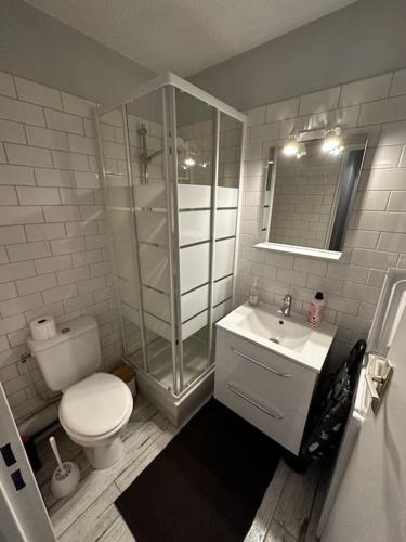 阿卡雄Appartement centre Arcachon的浴室配有卫生间、淋浴和盥洗盆。