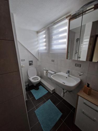 Sankt Peter am BichlApartment LARA的一间带水槽、卫生间和镜子的浴室