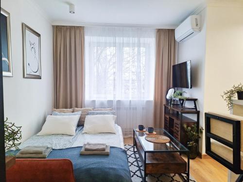 克拉科夫Cozy studio with Air Conditioning for couples, Old Town - Jewish District的带沙发和电视的客厅