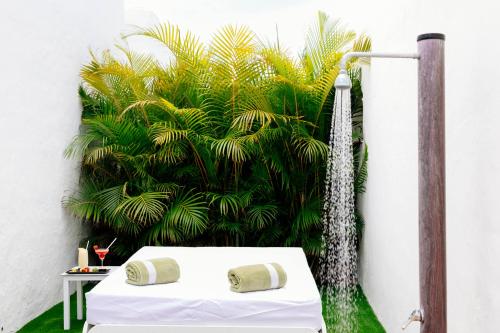 美洲海滩特内里费岛HD布拉格克里斯托巴尔酒店的床铺和植物间的淋浴