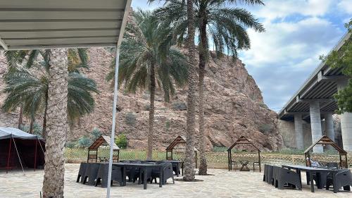 苏尔Atlas Wadi Shab的山前的一组桌子和棕榈树