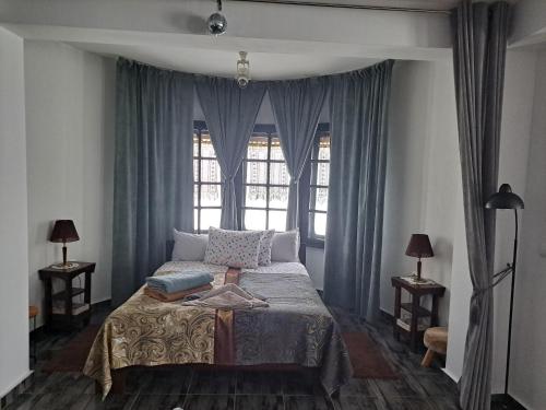 希普卡Gnezdo Studio Apart的一间卧室配有一张带蓝色窗帘的床和一扇窗户