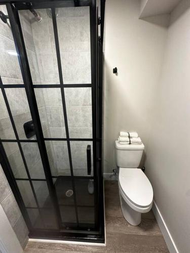 哈利法克斯Quaint Queen Suite Central HFX的一间带卫生间和玻璃淋浴间的浴室