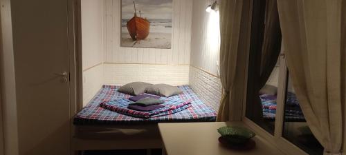 劳拉斯玛Laulasmaa Sleeps的小房间,配有带枕头的床