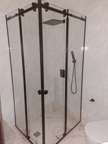 巴统Almare Batumi的浴室里设有玻璃门淋浴