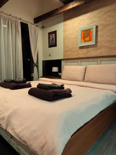 普罗夫迪夫Boutique Guest House Yes For You的一间卧室配有两张带棕色枕头的床。