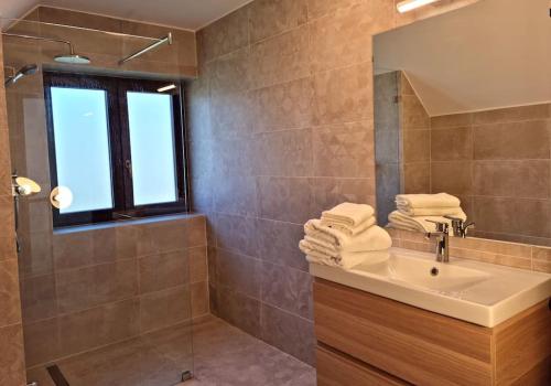 基什孔毛伊绍Cottage im Natur-Resort Pool, Schwimmteich & Sauna的浴室配有盥洗盆、淋浴和毛巾