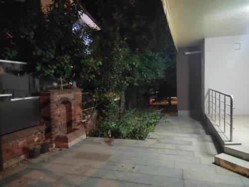 开塞利ERCİYESİN MÜKEMEL MANZARASI的夜晚庭院的外部景色