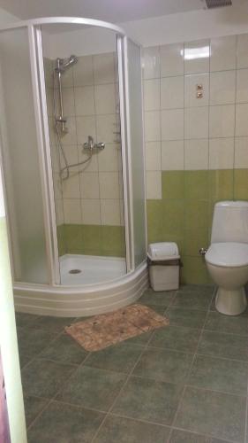 Tāšu-PadureSpāres的带淋浴和卫生间的浴室