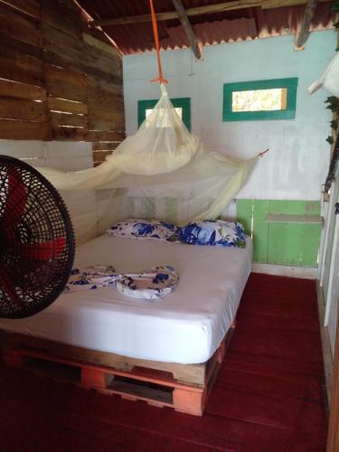 布兰卡滩DespertArte espacio de Arte y Hospedaje的一间卧室配有一张带蚊帐的床