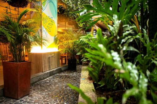 麦德林Green Hotel Medellin的充满了各种植物的房间