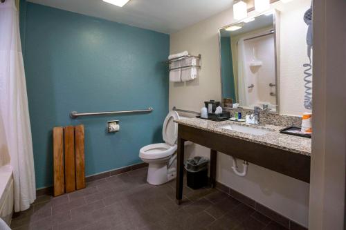 默特尔比奇Sleep Inn near Outlets的一间带卫生间和水槽的浴室