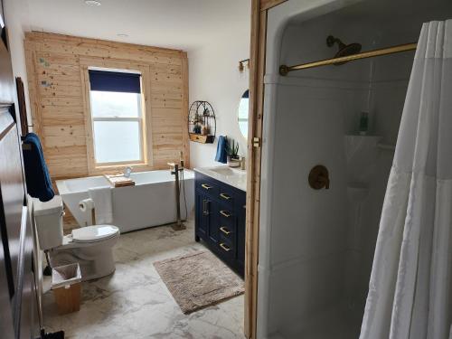 特威林盖特Seaclusion Twillingate的带浴缸、卫生间和盥洗盆的浴室