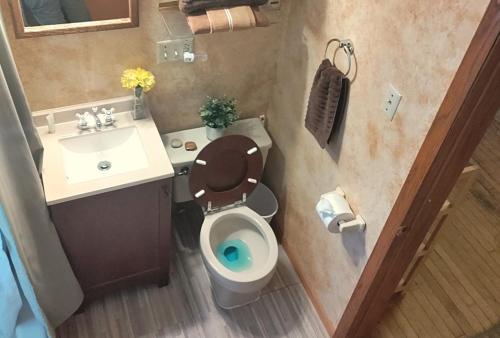密尔沃基Comfortable 3 BR Craftsman Bungalow in Milwaukee's Bay View Neighborhood的一间带卫生间和水槽的小浴室