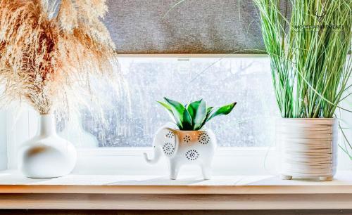 孟菲斯The Moose #6 - Modern Luxe Studio with Free Parking & King Bed的三个花瓶坐在一扇有植物的窗台上
