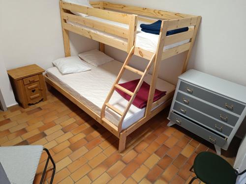 莱德萨阿尔卑斯La Mansio de Bons的客房内的双层床,带梯子