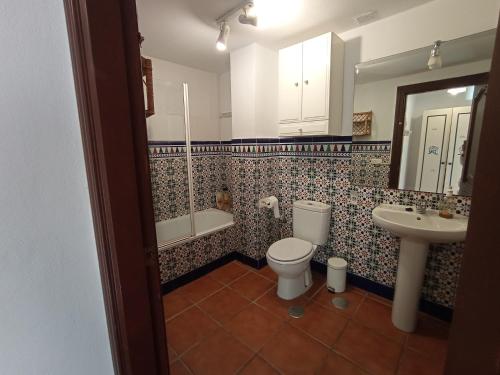 马拉加Apartamento en Villa con Piscina的一间带卫生间和水槽的浴室