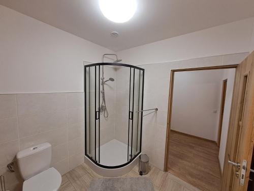 KwatoniówMarysieńka的带淋浴、卫生间和灯的浴室