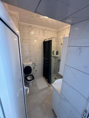 科托尔萨马季奇公寓的一间带卫生间和淋浴的小浴室