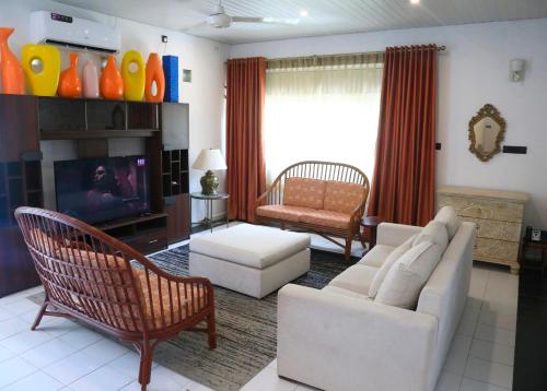 科伦坡Palm Grove的带沙发和电视的客厅