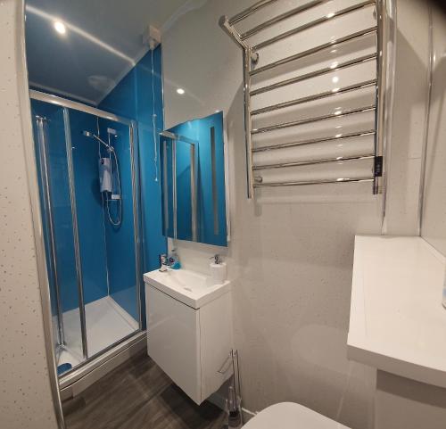 钱德勒福德Brand New Private Annex Guest Suite的一间带卫生间和淋浴的浴室