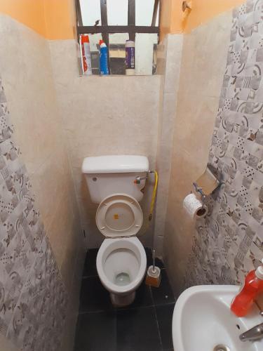 纳库鲁JAYDE COSSY HOMES的一间带卫生间和水槽的小浴室