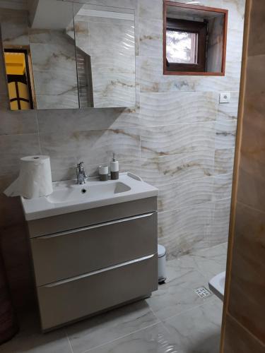 布什泰尼Casa Nicolas Busteni的一间带水槽和镜子的浴室