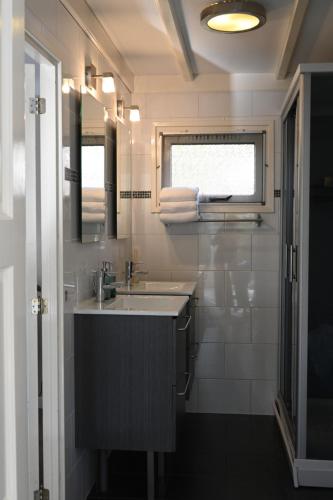 福尔特赫伊曾Quiet and spacious holiday home的一间带水槽和镜子的浴室