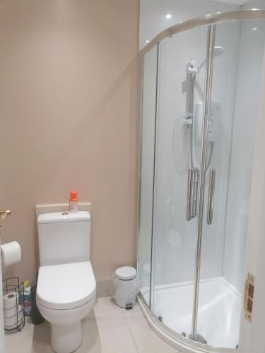 纽里The Beeches的带淋浴和卫生间的白色浴室