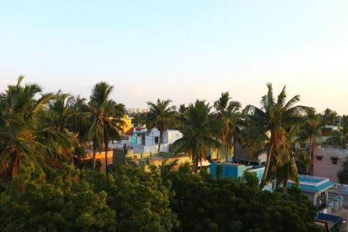 钦奈Hotel Saibala Inn的享有棕榈树和建筑的城市美景
