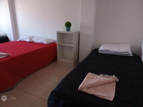 玛德琳港Hotel Costa Ballena的一间设有两张床和一张植物桌子的房间
