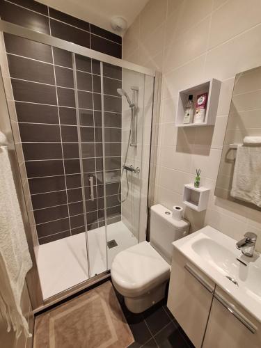 阿让Chambre avec salle d'eau privée的带淋浴、卫生间和盥洗盆的浴室