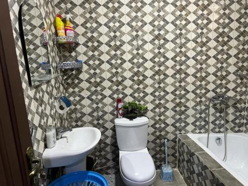 库马西Luxury Spacious Apartment的一间带卫生间和水槽的浴室