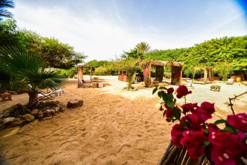 达赫拉Dar Tawarta Guest House Dakhla的一个带游乐场的沙滩区