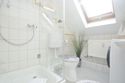 罗特RT01-RI Apartment in Roth的白色的浴室设有卫生间和水槽。