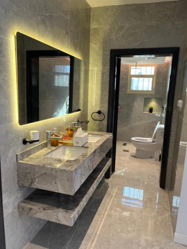 麦地那شاليه فرحتي的一间带大型大理石盥洗盆和卫生间的浴室