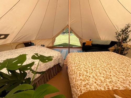拉耶North Shore Glamping / Camping Laie, Oahu, Hawaii的植物旁带两张床的帐篷