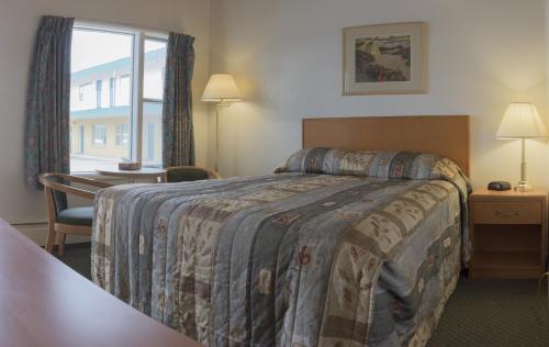 梅迪辛哈特太阳露台汽车旅馆的配有一张床、一张书桌和一扇窗户的酒店客房