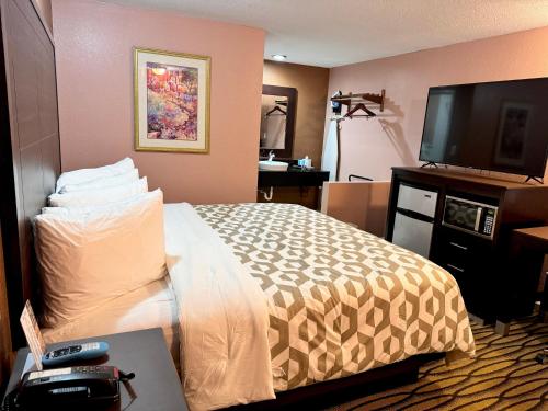 Oakley安妮奥克利奥克利酒店的配有一张床和一台平面电视的酒店客房