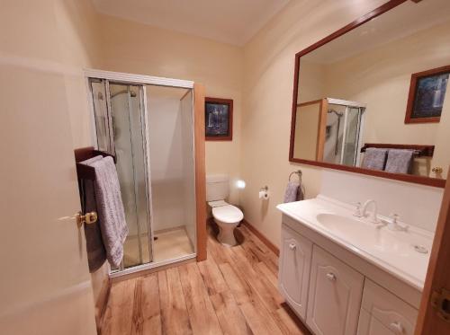 亚瑟港Ruby's Cottage Farm Stay的带淋浴、盥洗盆和卫生间的浴室