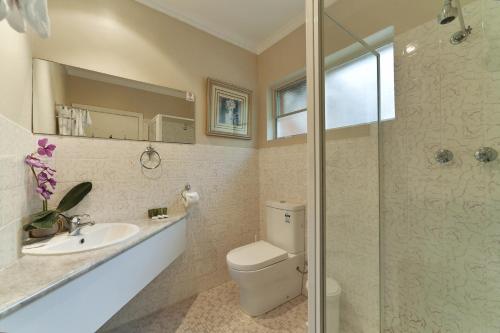 温耶德温耶德海滨酒店的浴室配有卫生间、盥洗盆和淋浴。