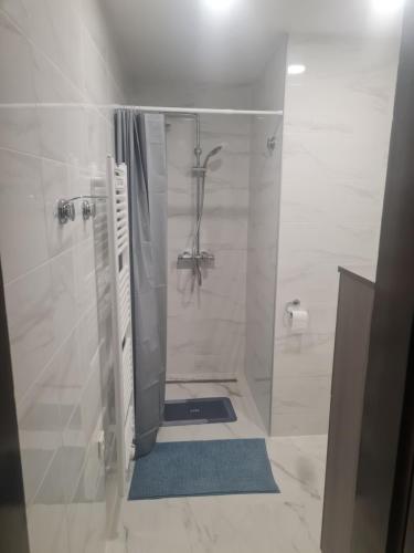 Rečica ob SavinjiSkala的带淋浴和浴帘的浴室