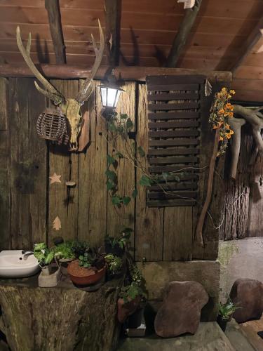 努沃勒埃利耶Villa 47的木墙上带鹿头的浴室